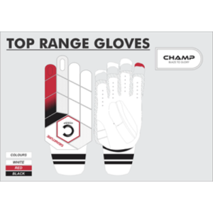 GRADE 1 ( CHAMP SIGNATURE SERIES )