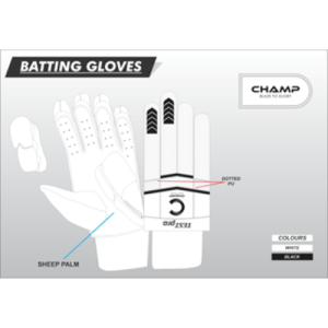 GRADE 2 + (CHAMP TEST PRO)