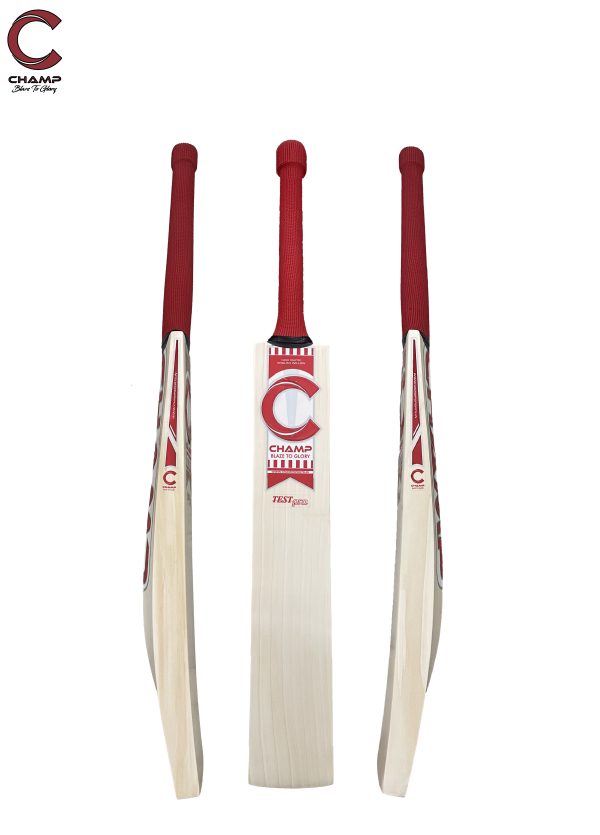CHAMP TEST PRO - Image 3