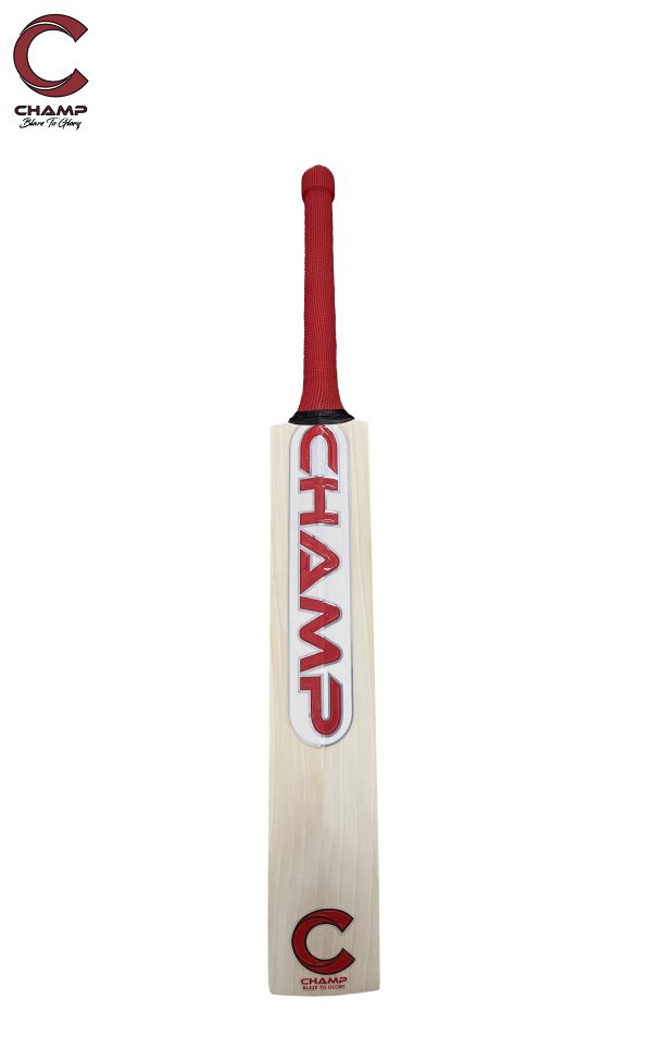 CHAMP TEST PRO - Image 2