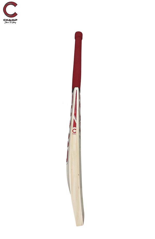 CHAMP TEST PRO - Image 4