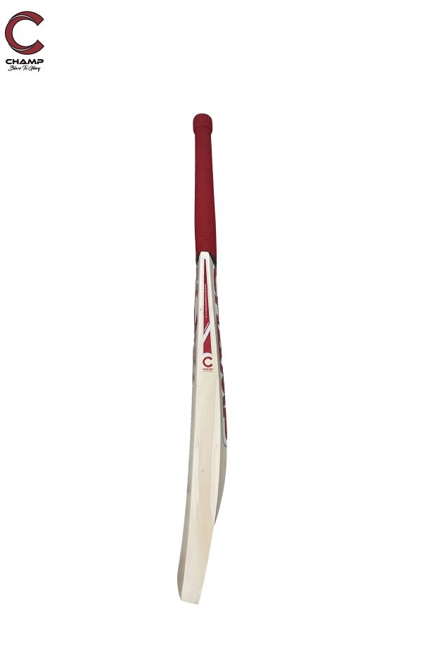 CHAMP TEST PRO - Image 7