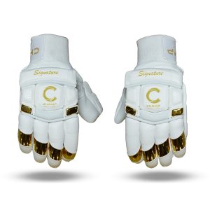 CHAMP BLAZE TO GLORY SIGNATURE